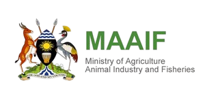 MAAIF Logo
